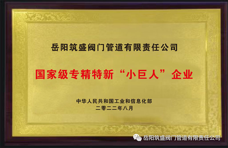 熱烈祝賀我公司榮獲國家級(jí)專精特新“小巨人”企業(yè)
